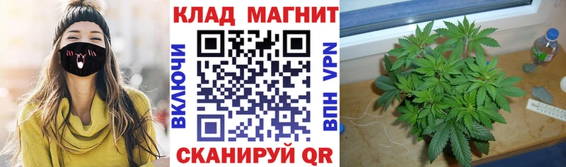 Все наркотики Сланцы ГАШ МАРИХУАНА Амфетамин Мефедрон APVP