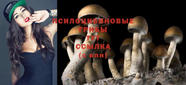 ГАЛЛЮЦИНОГЕННЫЕ ГРИБЫ Зерноград