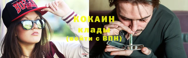 сатива Зеленокумск