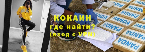 сатива Зеленокумск
