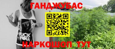 индика Кинель