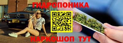 прущая мука Кимры