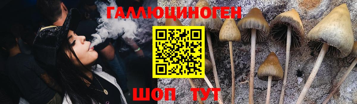 Сланцы  Галлюциногенные грибы ЛСД  Вход с VPN  Галлюциногенные грибы MAGIC MUSHROOMS 