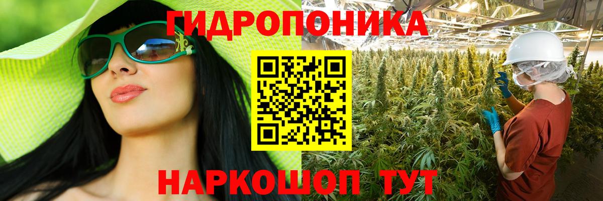 Сланцы  МАРИХУАНА сатива  Конопля конопля  Каннабис Amnesia  Вход с VPN 
